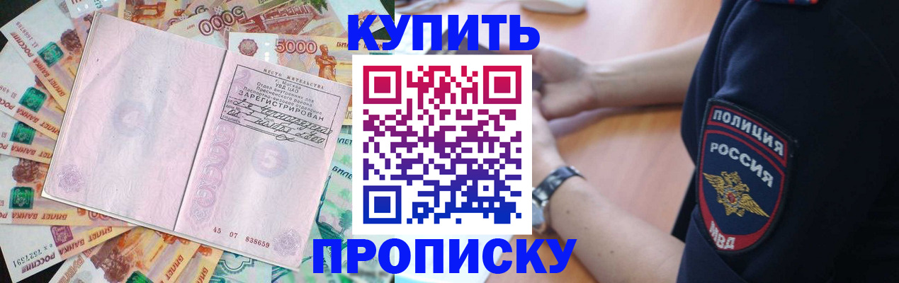 временная регистрация поиск в Тайге